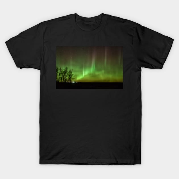 Yes, That's Green You See T-Shirt by krepsher